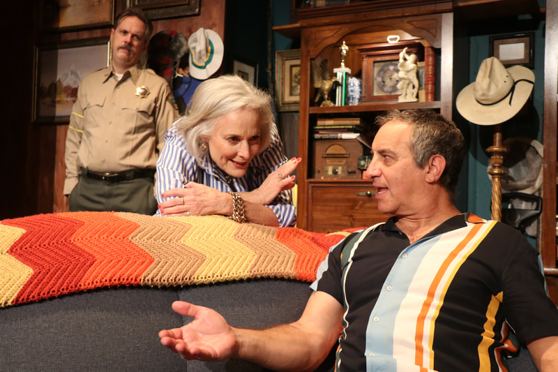 Eric Curtis Johnson, Susan Wilder and Bruce Nozick in Boxing Lessons by John Bunzel, directed by Jack Stehlin at The New American Theatre. Photo: Jeannine Wisnosky Stehlin